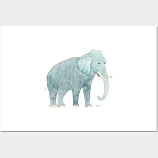 Watercolor Elephant Posters and Art